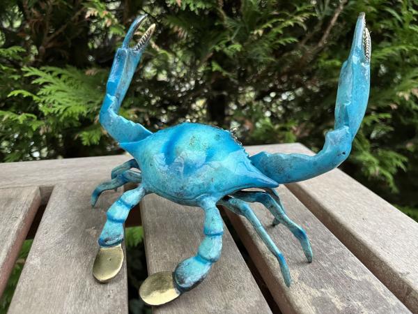 KRABBE bronze blau